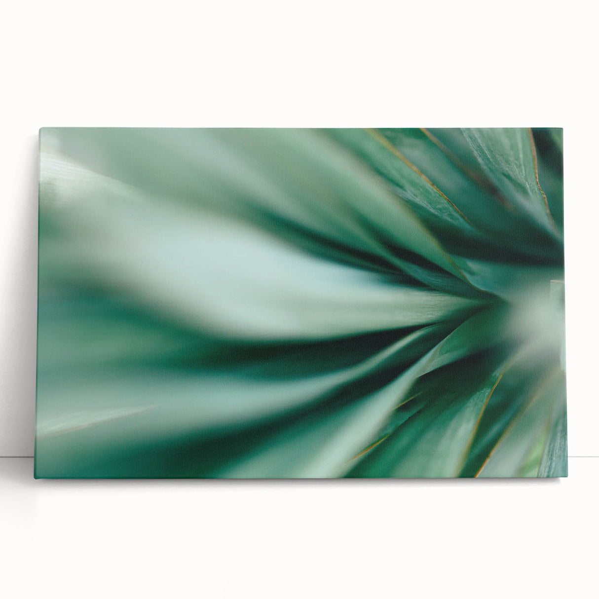Close-up of leaves in black and white on a stretched canvas, suitable for kitchen wall art.