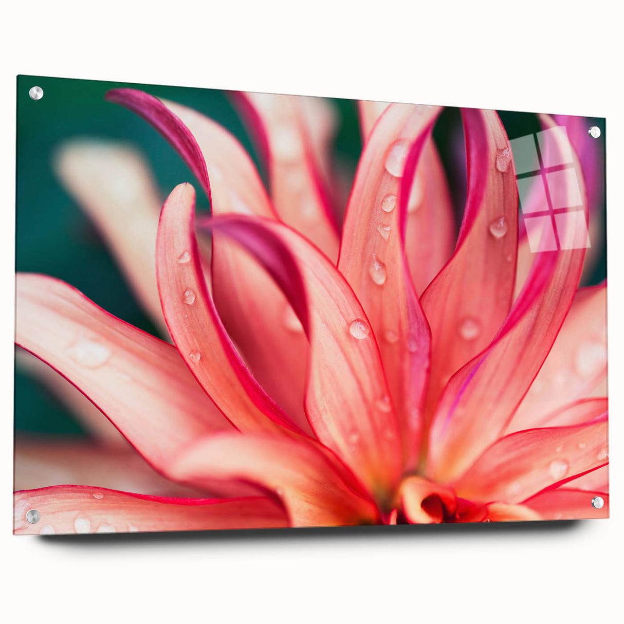 Close-up of leaves in shades of green on large acrylic glass, suitable for bedroom or dining room decor.