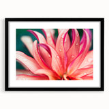 Extra large abstract art print of colorful, textured leaves on a black framed canvas, ideal for living room decor.