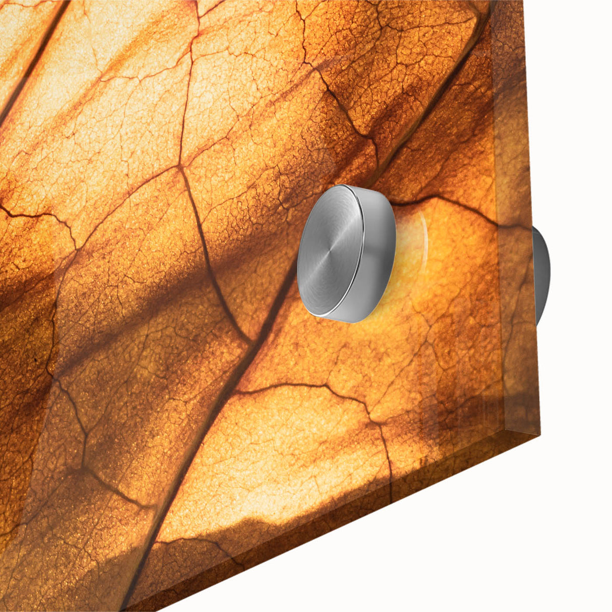 Close-up of green leaves in an abstract style on acrylic glass, ideal for dining room art with a mid-century modernist flair.