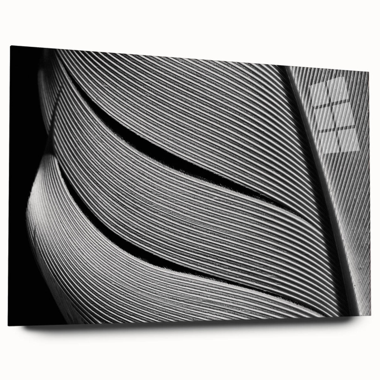 Large abstract wall art featuring close-up leaves in vibrant green tones on acrylic glass.