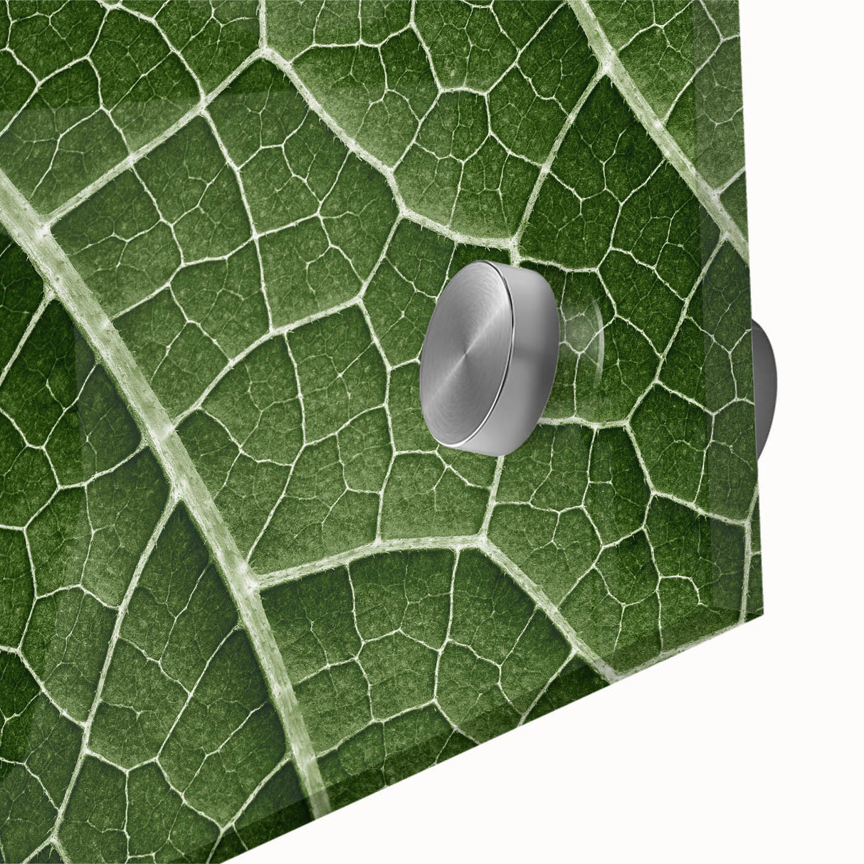 Large abstract wall art featuring close-up leaves in muted green and brown on acrylic glass, ideal for dining room art.