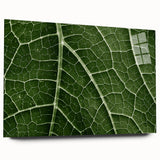 Close-up of leaves in green and yellow tones on acrylic glass, suited for bedroom or dining room art.