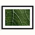 Extra large abstract art print featuring colorful, textured leaves on a black framed canvas, ideal for living room decor.