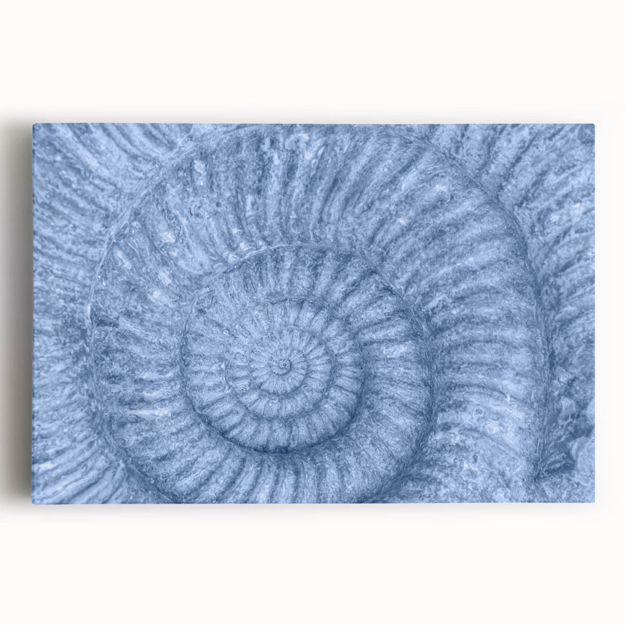 Large black and white photo of pebbles on stretched canvas, ideal for kitchen wall art.