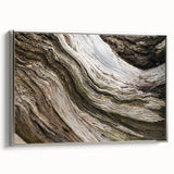 Framed canvas featuring a vintage-style landscape painting with vibrant natural elements on a black background.