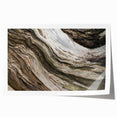 Extra large rolled print featuring close-ups of natural elements in muted green and brown tones.