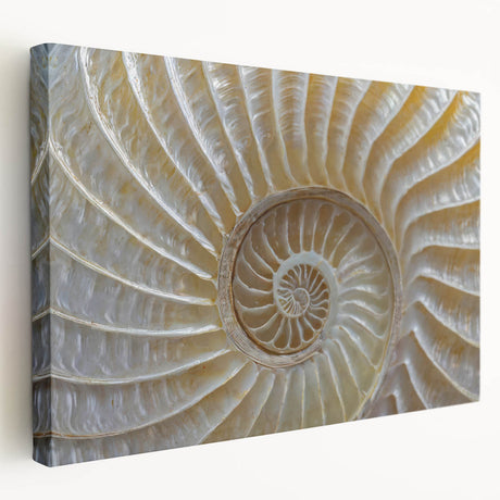 Close-up image of natural elements in muted earth tones on a large stretched canvas, suitable for kitchen wall art.