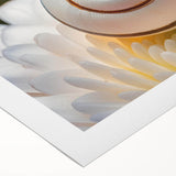 Art deco poster featuring a close-up of natural elements in monochrome, printed on rolled canvas.