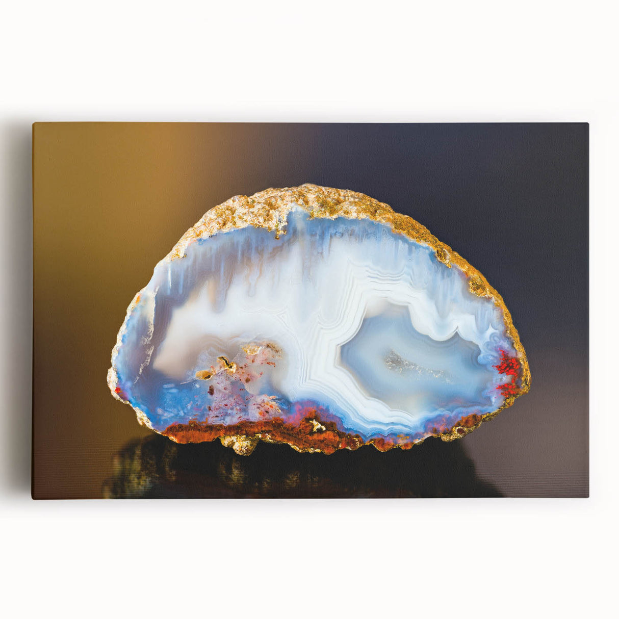 Black and white close-up photo of natural elements on stretched canvas, ideal for kitchen wall art.