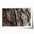 Extra large rolled print of close-up tree branches with green leaves, ideal for art wall dining room or classy bathroom.