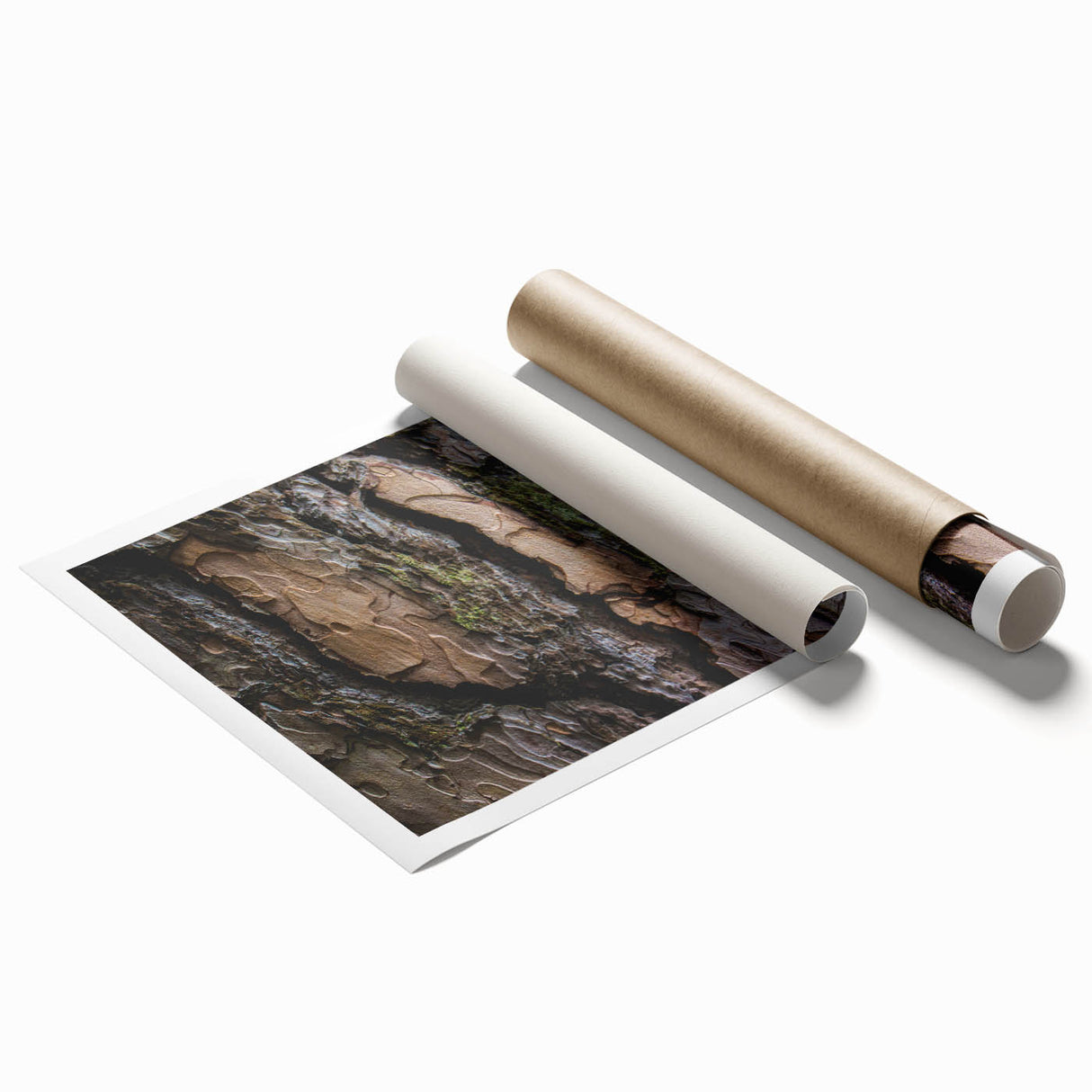 Close-up of tree bark in muted brown tones on a rolled canvas, suitable for classy bathroom decor.