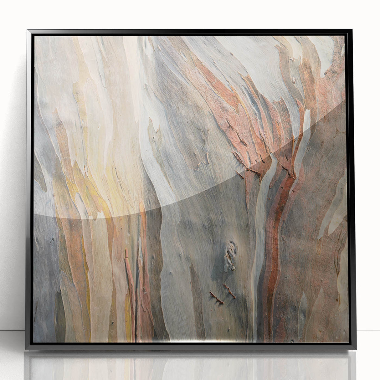 Large abstract wall art featuring close-up tree designs in black and white, framed in acrylic.