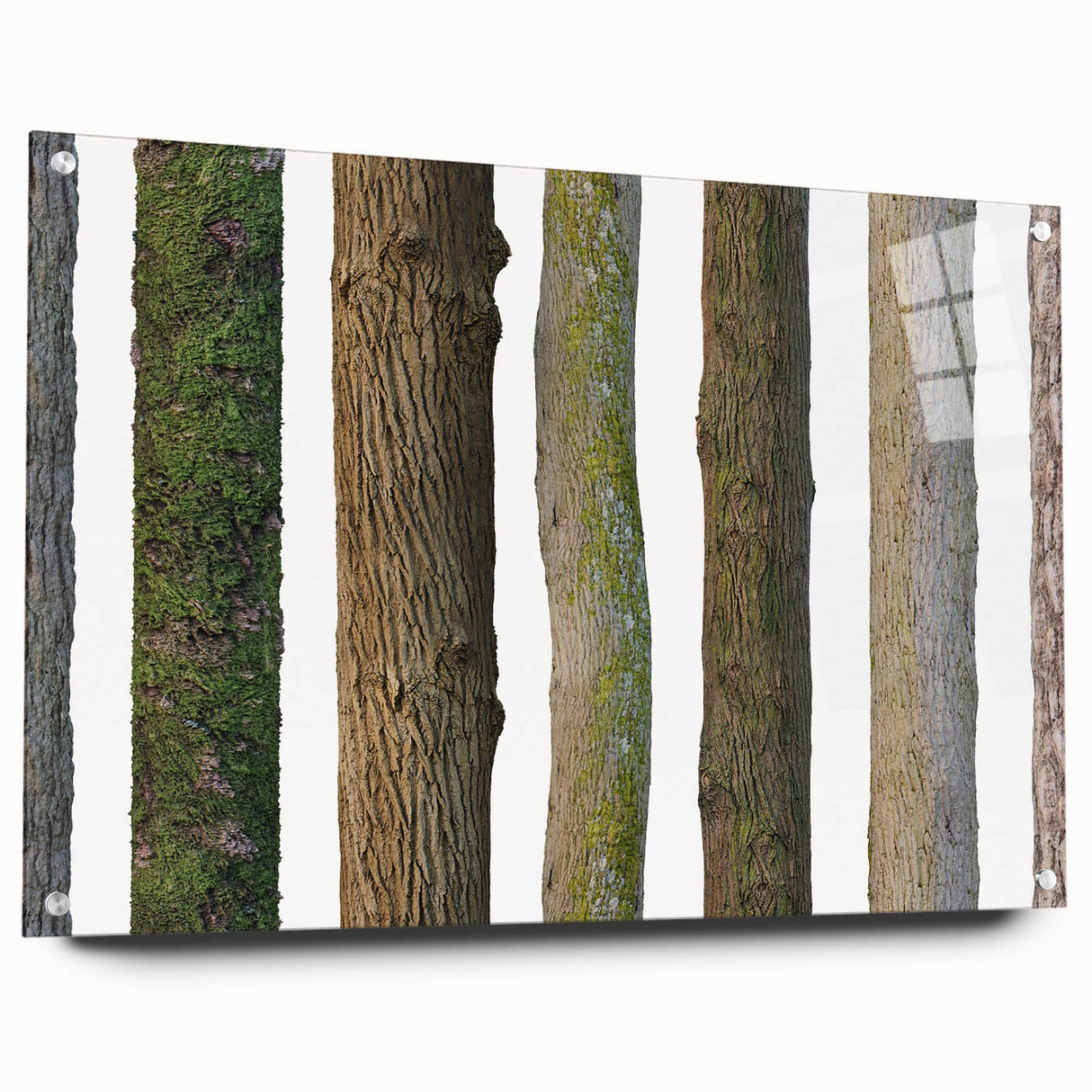 Close-up of a tree in an abstract style, printed on acrylic glass, suitable for bedroom or dining room decor.