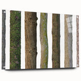 Close-up of a tree in an abstract style, printed on acrylic glass, suitable for bedroom or dining room decor.