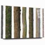 Close-up image of a tree in muted green and brown tones on acrylic glass, suitable for bedroom or dining room decor.