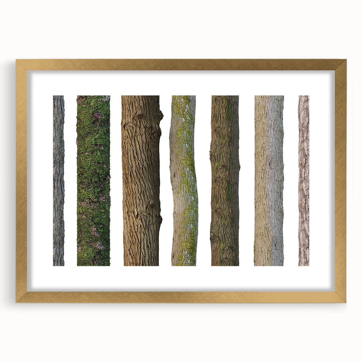 Extra large abstract art print of close-up tree textures in gold frame, suited for living room decor.