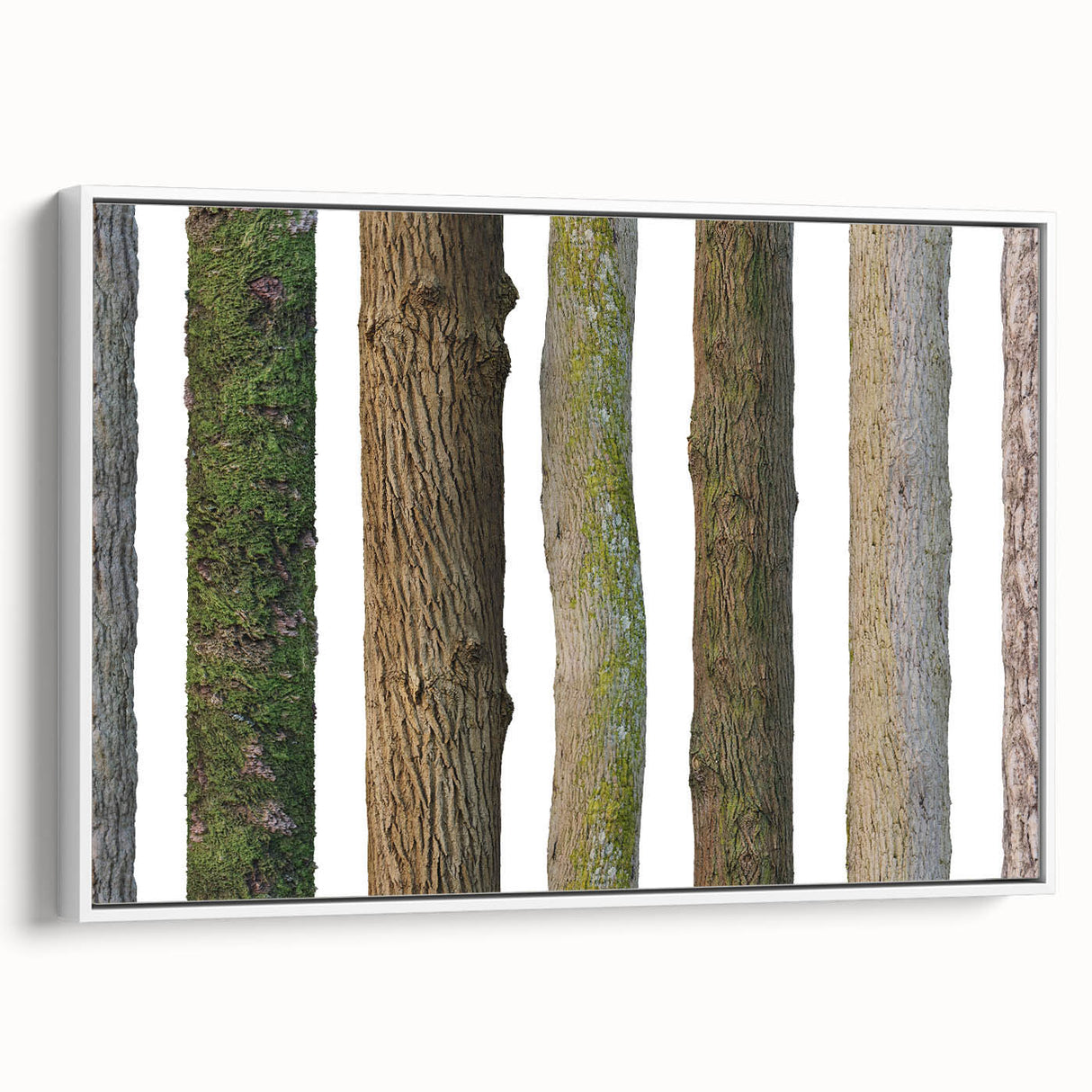 Extra large framed canvas featuring a close-up of trees in vintage poster art style.