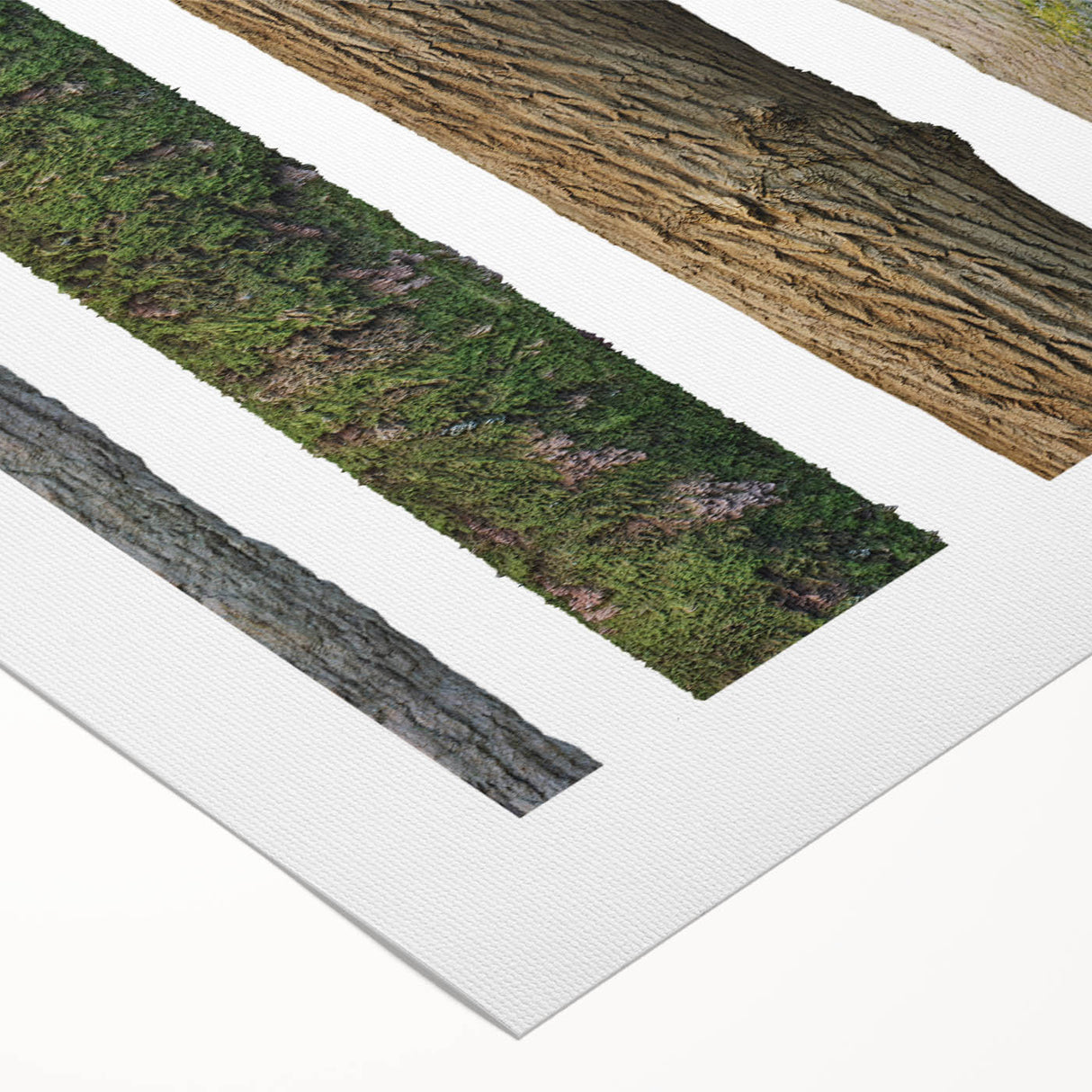 Art deco poster featuring close-up of trees in muted green and brown tones on rolled canvas, ideal for dining room wall art.