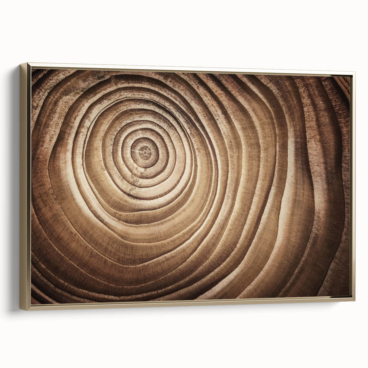 Framed canvas depicting a close-up of trees in black tones, ideal for modern bedroom wall art.