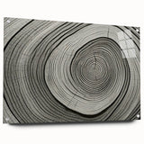 Acrylic print of close-up tree bark in natural tones, suitable for bedroom or dining room decor.