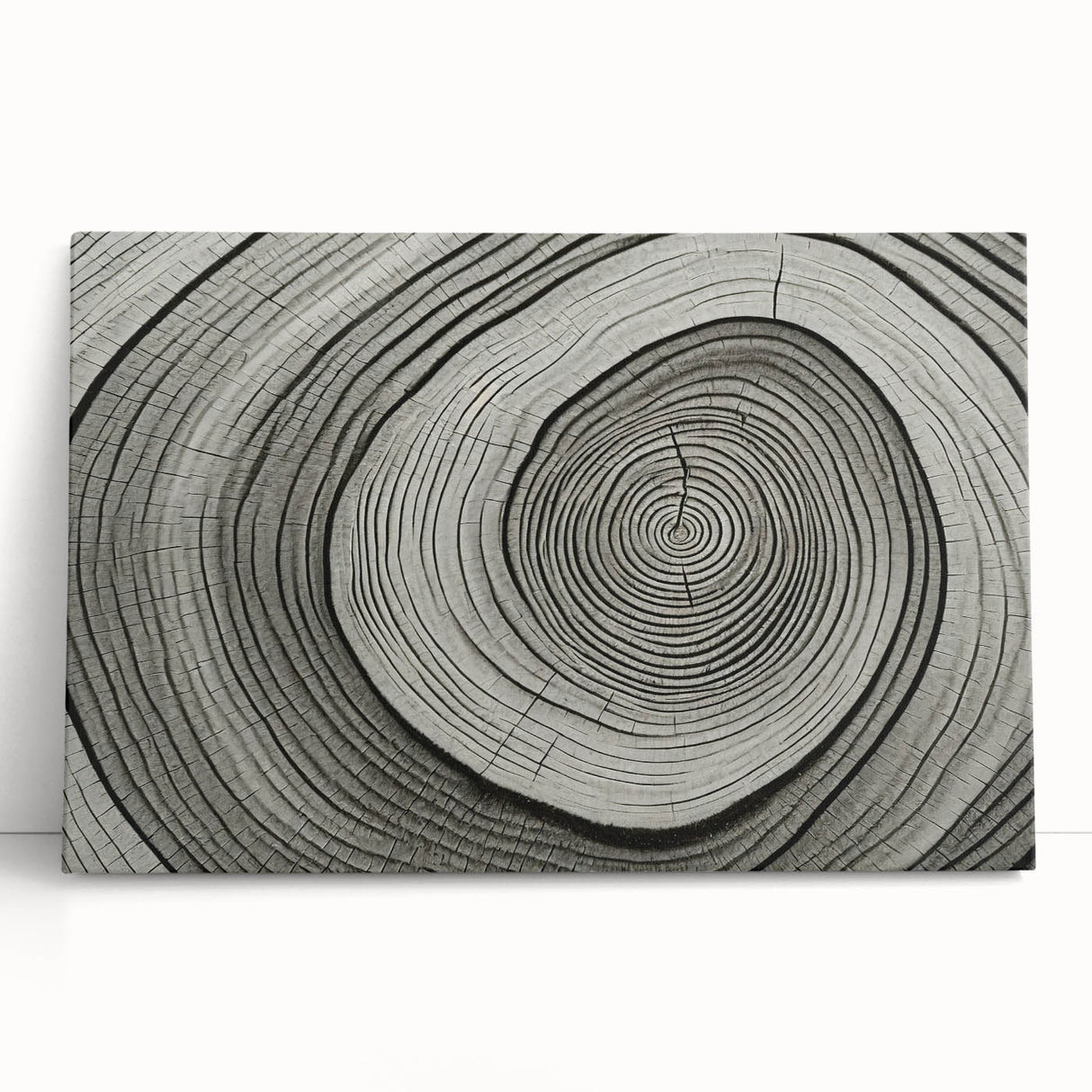 Black and white photograph of a dense forest on stretched canvas, suited for kitchen or bedroom wall art.
