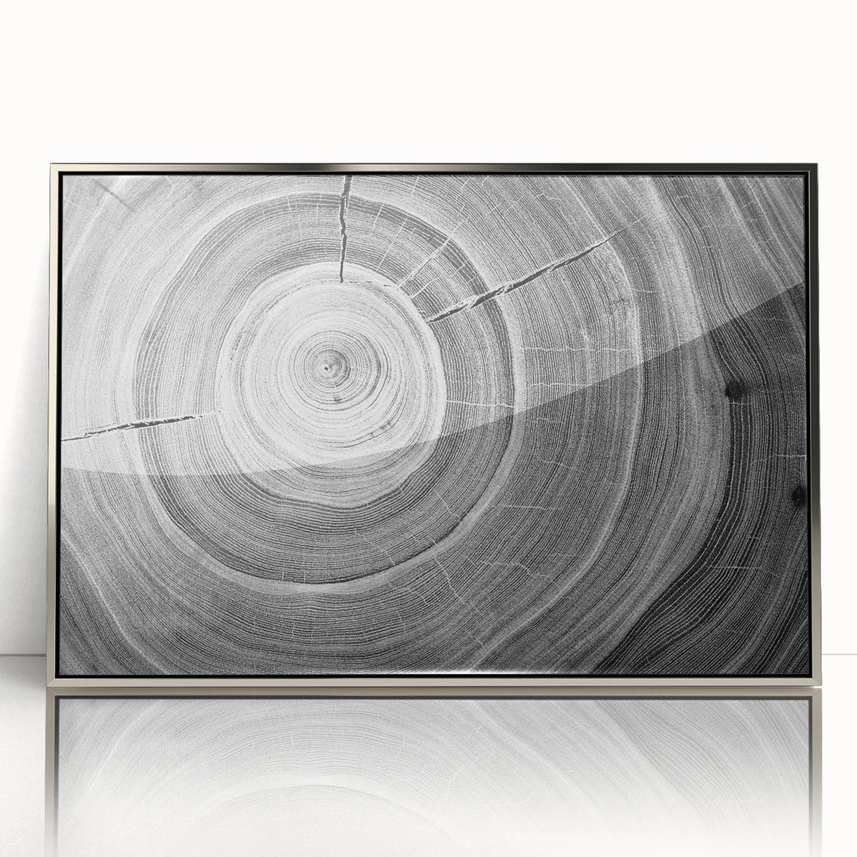 Mid-century modernist art depicting close-up trees, framed in silver acrylic, in muted green and brown tones.