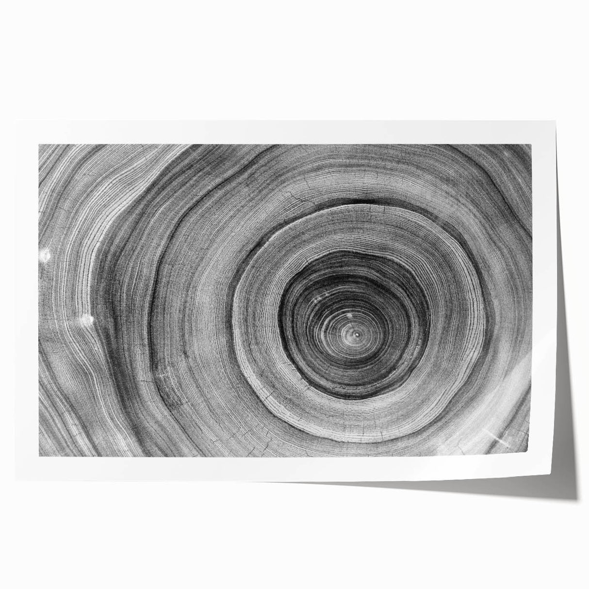 Close-up of trees in muted green tones on a large rolled canvas, suitable for dining room or bathroom decor.