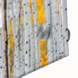 Close-up acrylic print of abstract tree designs in muted earth tones, ideal for dining room art.