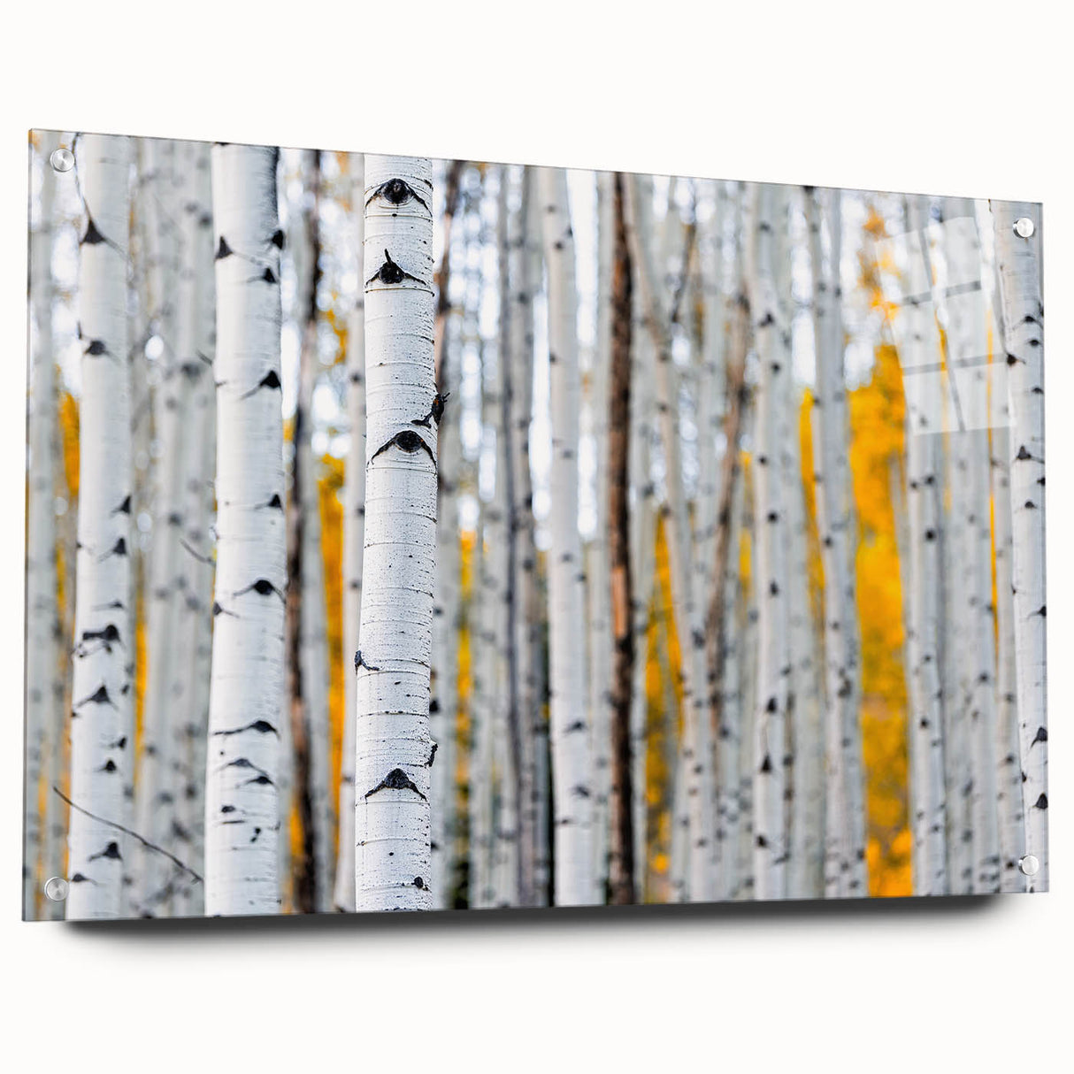 Acrylic print of large abstract trees in muted earth tones, suitable for bedroom or dining room decor.