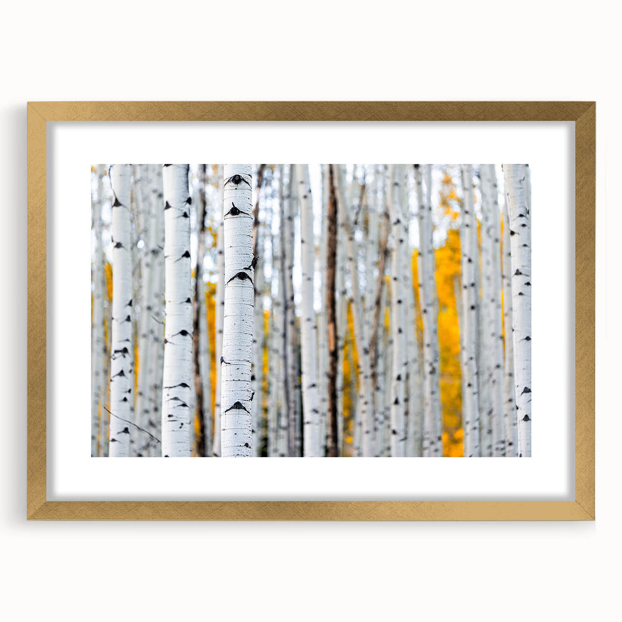 Extra large abstract art print of close-up trees, textured in gold frame, suitable for living room decor.