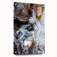 Close-up view of tree bark printed on acrylic glass in earthy brown tones, suitable for bedroom or dining room decor.