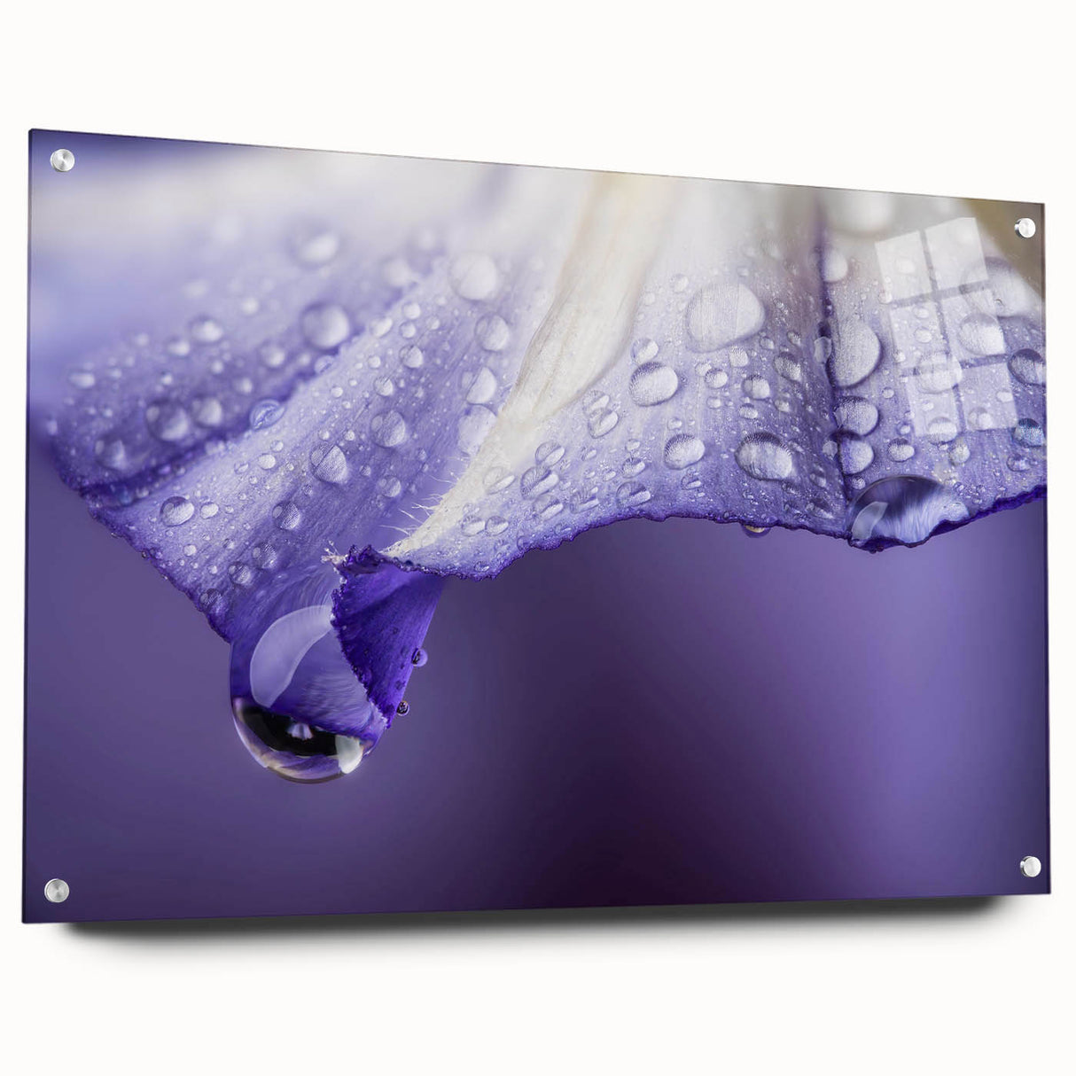 Close-up nature-inspired abstract design on acrylic glass, with vibrant blues and greens.