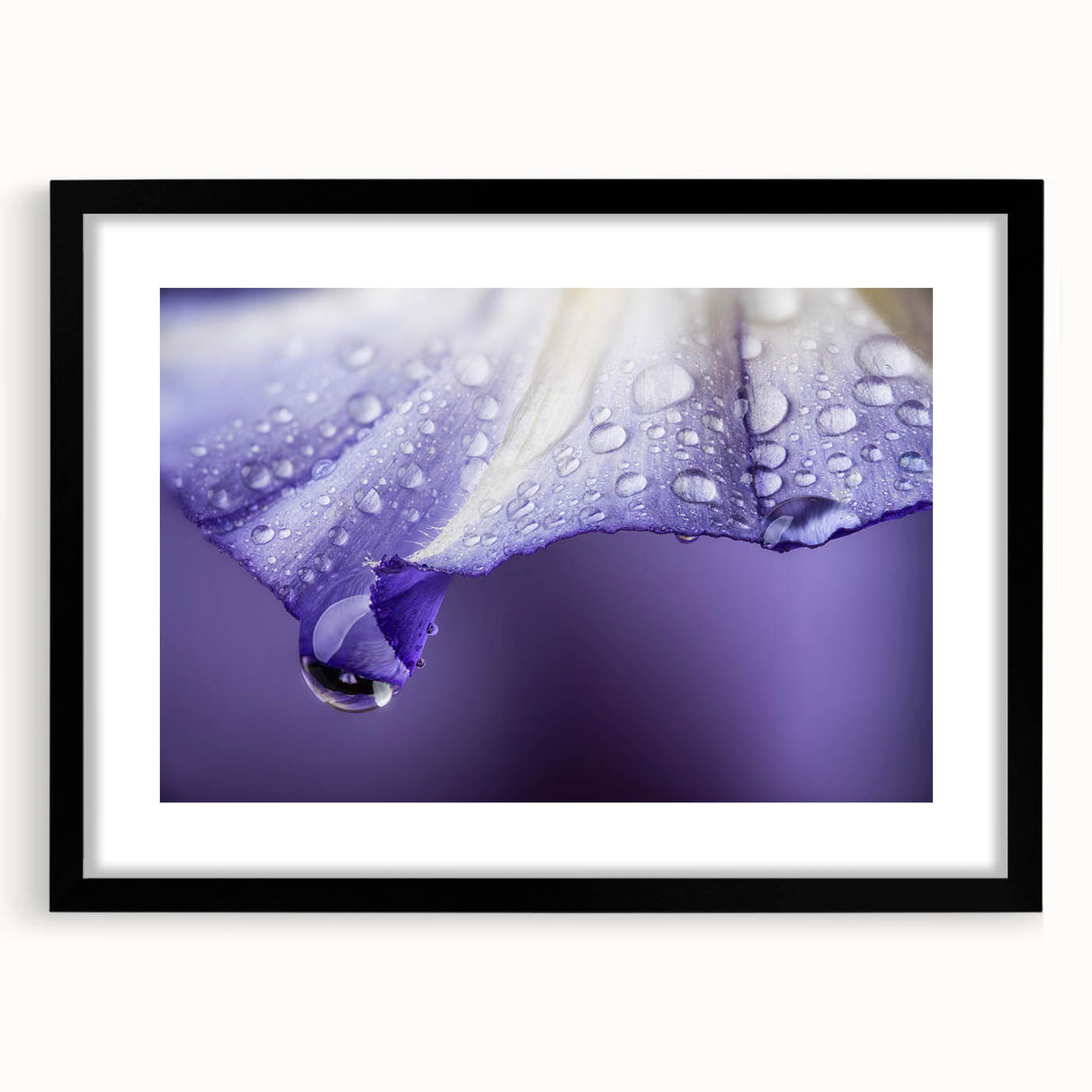Extra large abstract art print featuring vibrant, colorful textures on a black framed canvas, ideal for living room decor.