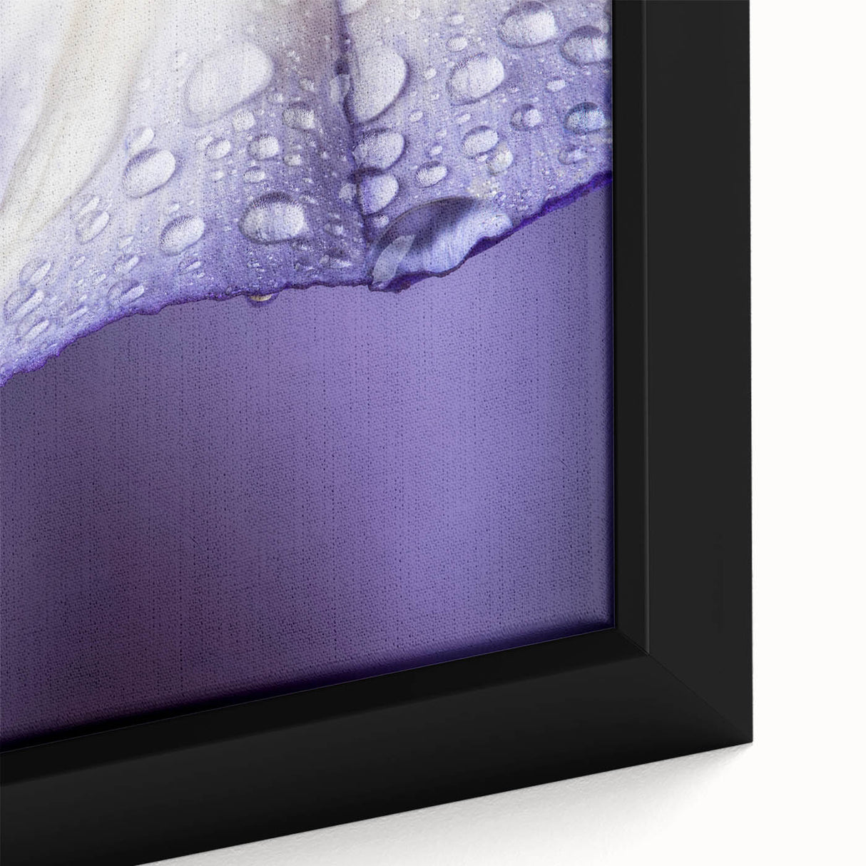 Framed canvas featuring a close-up of water droplets on leaves in grayscale, ideal for bedroom wall art.