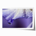 Close-up floral design in soft pastel colors on a rolled print, suitable for art wall dining room or bathroom.