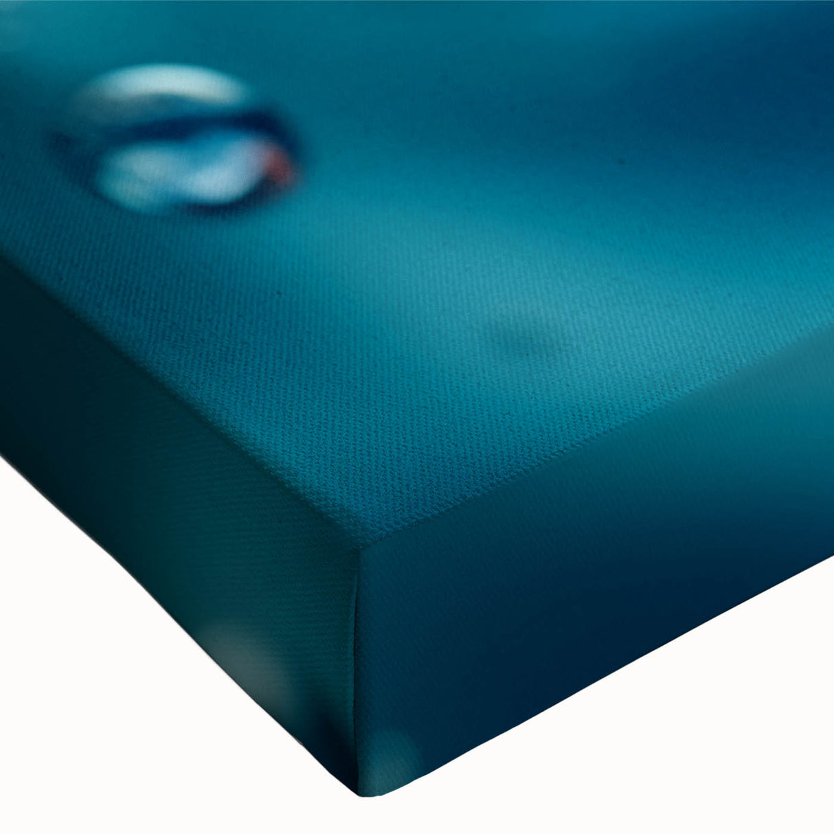 Large art on stretched canvas featuring a close-up black and white landscape, ideal for bedroom wall decor.