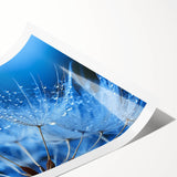 Extra large wall art featuring line art flowers in black on white, rolled print, ideal for large living room wall decor.