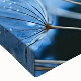 Black and white close-up landscape art painting on stretched canvas, ideal for bedroom wall decor.