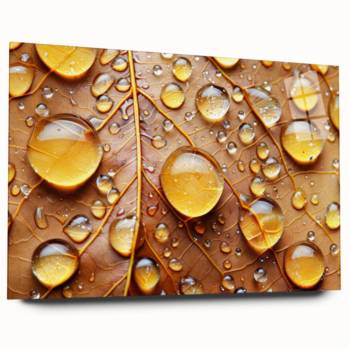 Close-up of water droplets on a vibrant blue surface, acrylic print, suitable for bedroom or dining room decor.
