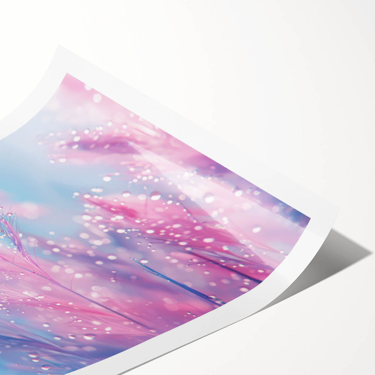 Extra large wall art featuring line art flowers in black on a white background, rolled print format.