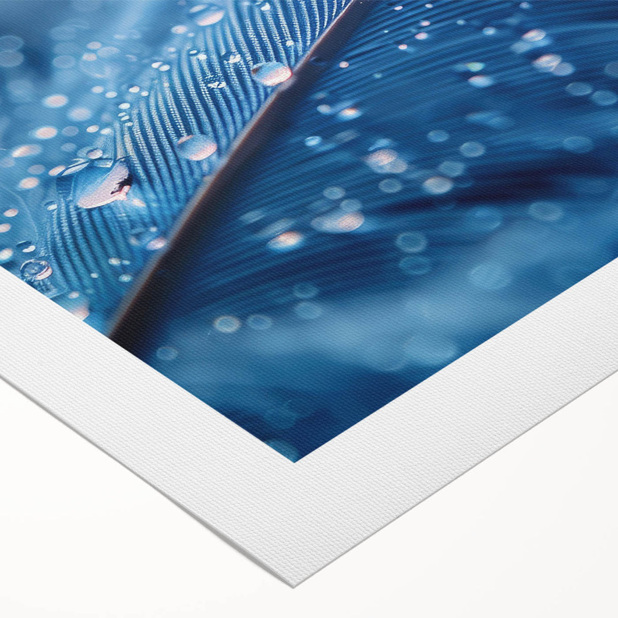 Art deco poster featuring a close-up of water droplets on a leaf, in cool blue and green tones on rolled canvas.
