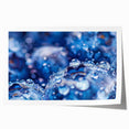 Close-up of water droplets on vibrant green leaves on a rolled print, suitable for art wall dining room.
