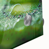 Large abstract wall art featuring close-up water design in blue and green tones on acrylic glass.