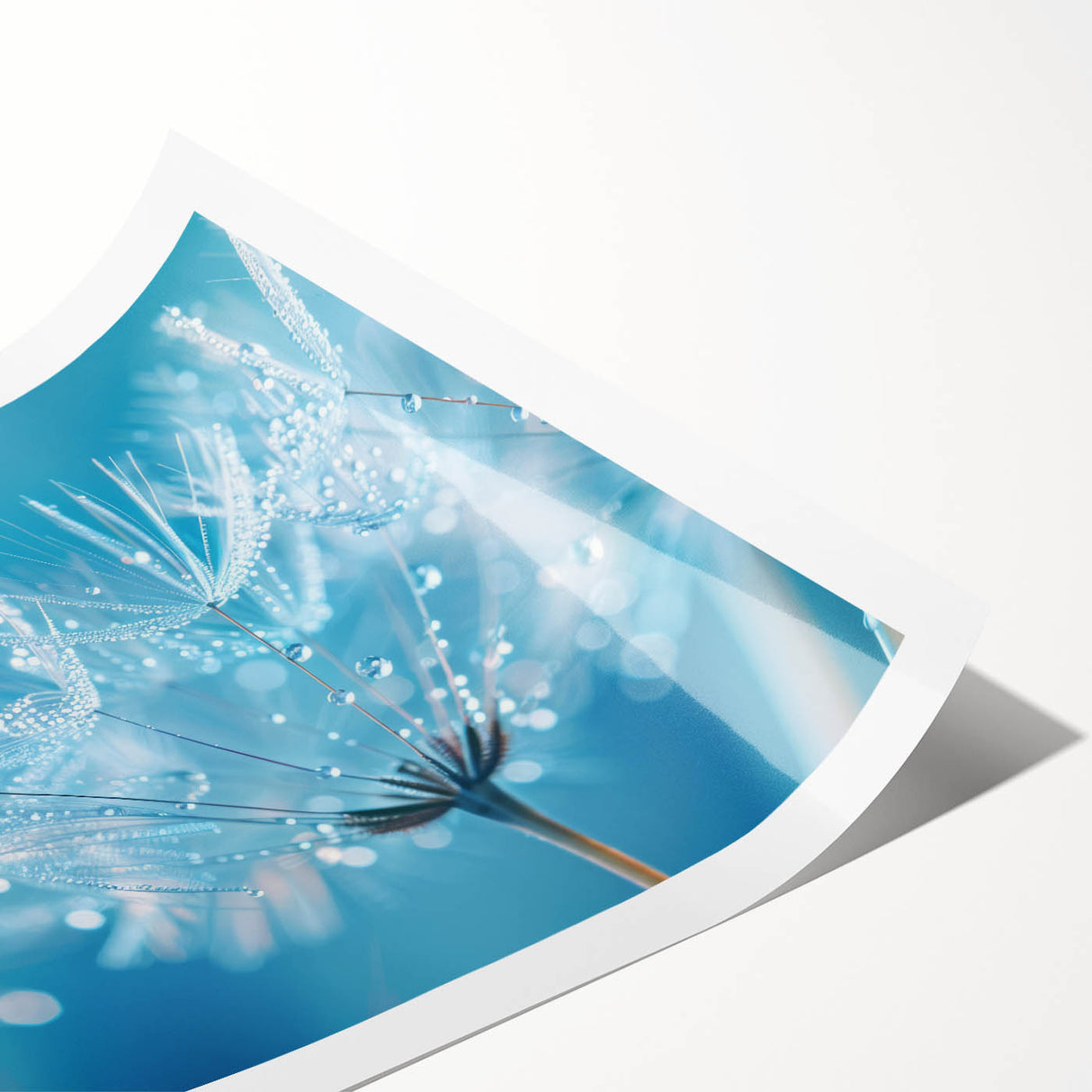 Extra large rolled print featuring line art flowers in black on white, ideal for large living room wall decor.