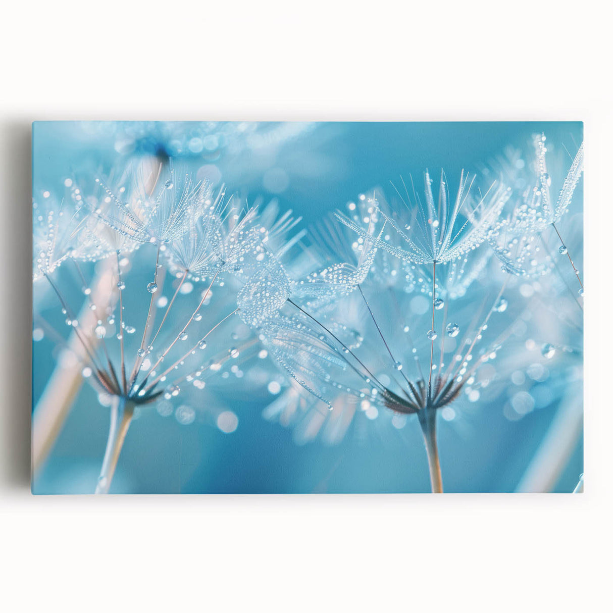 Black and white close-up of water droplets on a leaf, printed on large stretched canvas, ideal for kitchen wall art.