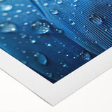 Art Deco poster featuring a close-up of water droplets on leaf, in cool blue and green tones, printed on rolled canvas.