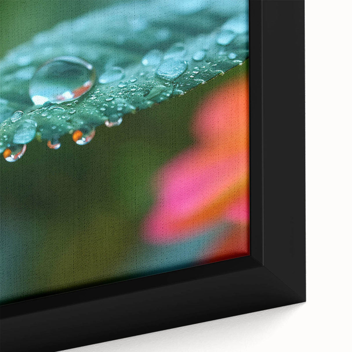 Extra large framed canvas featuring a close-up of water droplets on a black background with colorful, textured details.