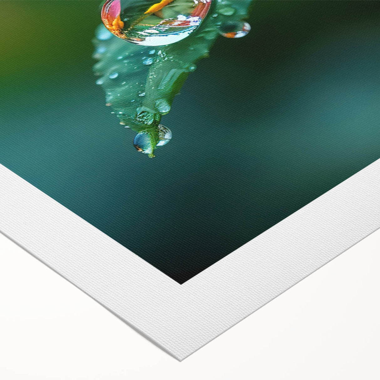 Art deco poster featuring a close-up water design on a rolled canvas, suitable for dining room or bathroom.