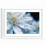 Abstract art print featuring close-up water design in blue and white tones, framed with a white mat.